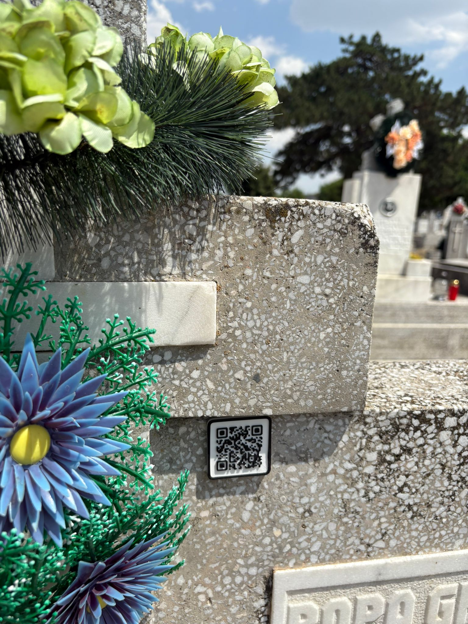 Cod QR 3D - Vizualizare principală